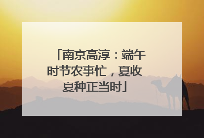 南京高淳：端午时节农事忙，夏收夏种正当时